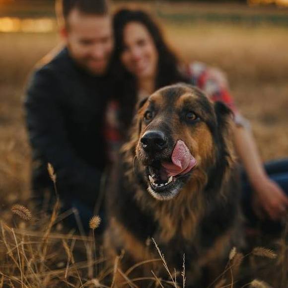 Meet your Posher, Meg - Picture 1 of 1